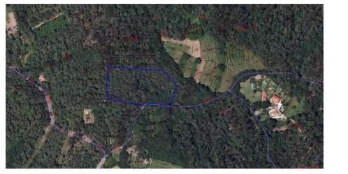 finca rústica en gondomar