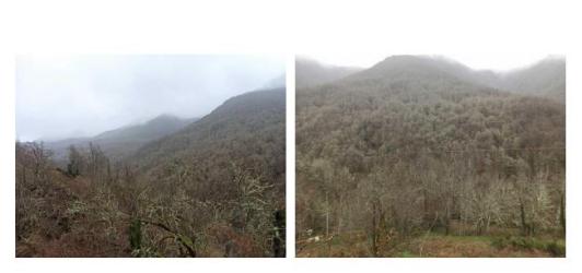 finca rústica en cangas del narcea