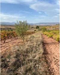 finca rústica en cardenas