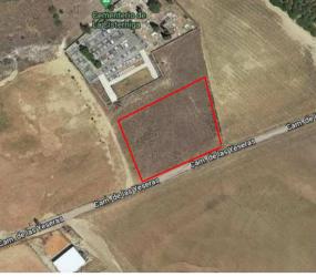 finca rústica en cisterniga