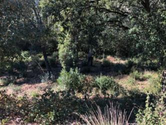 solar en riells i viabrea