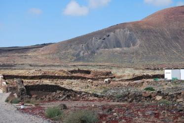 finca rústica en oliva (la)