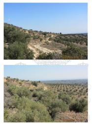 finca rústica en tortosa