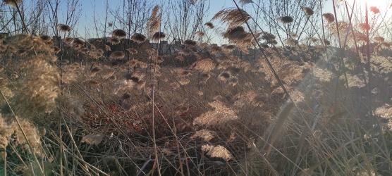 finca rústica en lleida