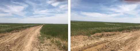 finca rústica en ajalvir