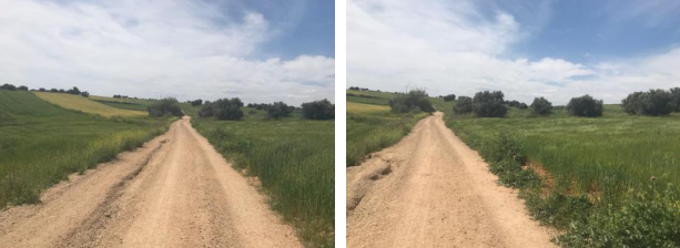 finca rústica en ajalvir