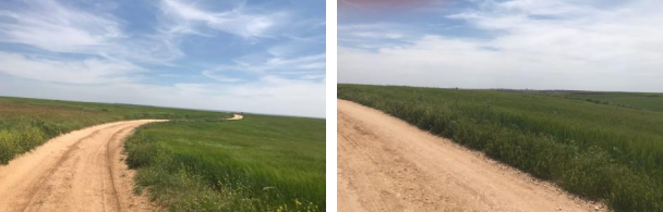 finca rústica en ajalvir