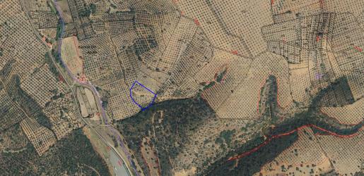 finca rústica en belvis de la jara