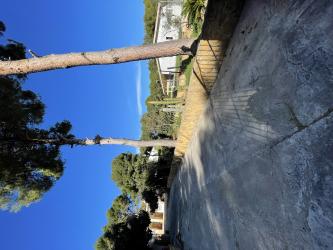 finca rústica en albalat dels tarongers