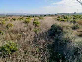 finca rústica en catadau