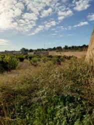 finca rústica en catadau