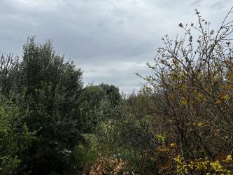 vivienda en chiclana de la frontera