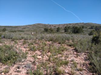 finca rústica en tous