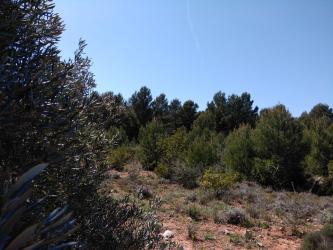 finca rústica en tous