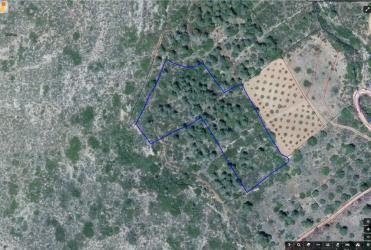 finca rústica en tous