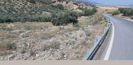 finca rústica en colmenar