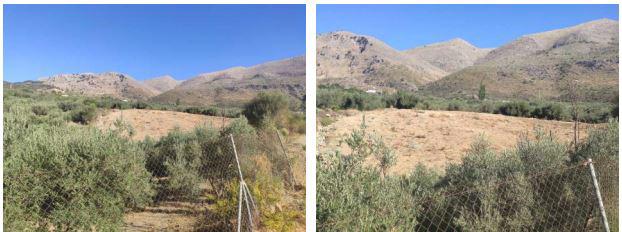 finca rústica en periana