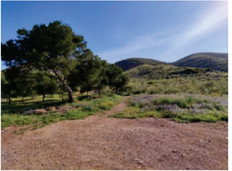 finca rústica en cartagena