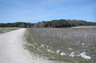 finca rústica en cuellar