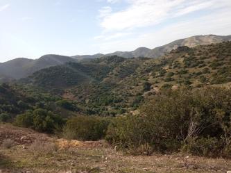 finca rústica en la puebla de cazalla