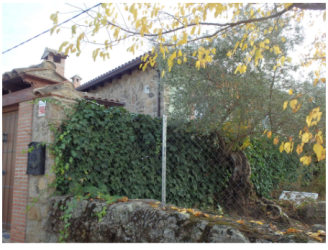 solar en sotillo de las palomas