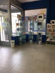 local comercial en navalmoral de la mata