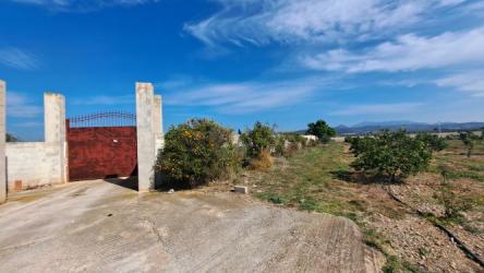 finca rústica en vinaros