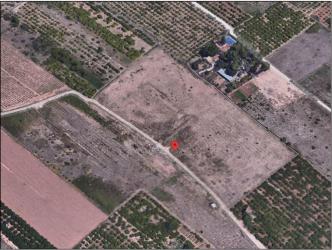 finca rústica en burriana.