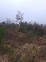 finca rústica en les coves de vinromÀ