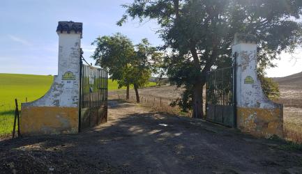 finca rústica en las cabezas de san juan