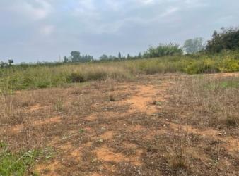 finca rústica en alzira