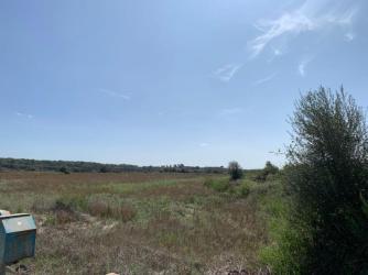 finca rústica en sencelles