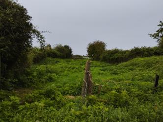 finca rústica en meruelo