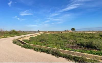 finca rústica en alginet