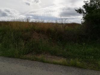 finca rústica en sant gregori