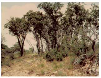 solar en vegas de matute