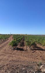 finca rústica en alcazar de san juan