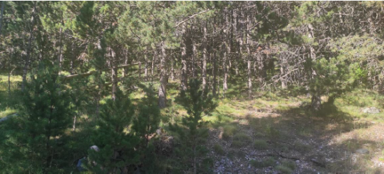 solar en la coma i la pedra