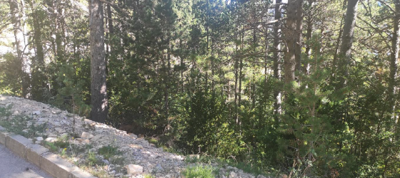 solar en la coma i la pedra