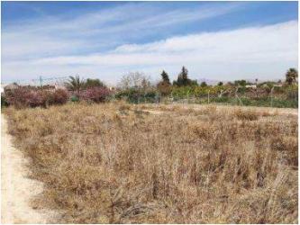 finca rústica en torres de cotillas (las)