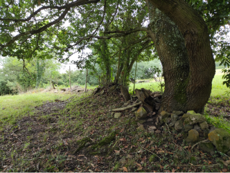 finca rústica en oviedo