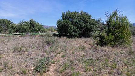 finca rústica en lliria