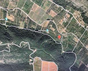 finca rústica en alzira