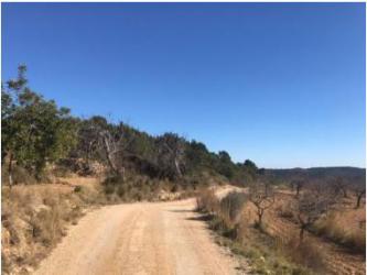 finca rústica en les coves de vinromÀ