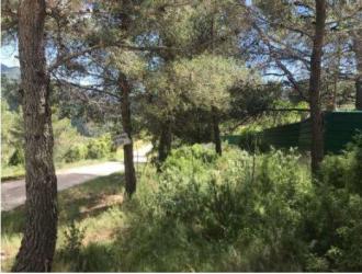 finca rústica en algimia de almonacid