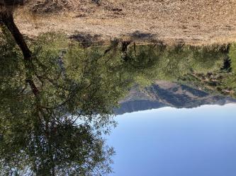 finca rústica en algodonales