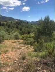 finca rústica en matet