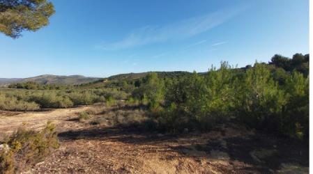 finca rústica en les coves de vinromÀ