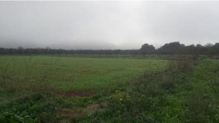 finca rústica en les coves de vinromÀ