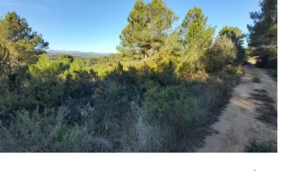 finca rústica en les coves de vinromÀ